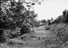 Llanfihangel Railway. Near Triley. Railway alongside the Newport, Abergavenny & Hereford Railway. June 1973