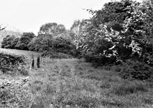 Llanfihangel Railway. Near Triley. Railway trackbed leading North from 5¾ milepost. June 1973