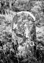 Llanfihangel Railway. Near Triley. 5¾ milepost in situ. January 1961