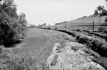 Hereford Railway. Site of trackbed leading North out of Pontrilas – inside hedge – before road widening obliterated it. 1958