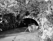 Hereford Railway. Pontrilas. Small bridge over Dulas Brook. 24 October 1976