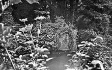 Caerleon Tramroad. A remaining abutment from the bridge over the Afon Lwyd at Llantarnam.  1961 (9)
