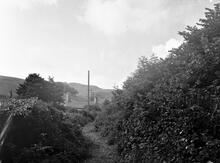 Blaendare Tramroad. Below Cwm field looking West. 1965 (8)