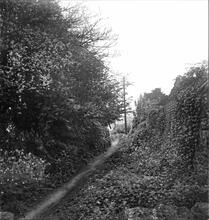 Caerleon Tramroad.  East of Usk Road Level Crossing.  May 1960 (4)
