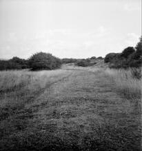 Duffryn Llynvi & Porthcawl Railway. Near Kenfig Hill. Looking East. September 1955 (2)
