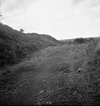 Duffryn Llynvi & Porthcawl Railway. Near Cefn House. Looking east. September 1955 (3)