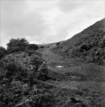 Duffryn Llynvi & Porthcawl Railway. Near Cefn House. Looking west. September 1955 (4)