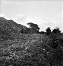 Duffryn Llynvi & Porthcawl Railway. Near Cefn Cribwr. Looking east. September 1955 (5)