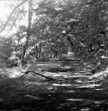 Duffryn Llynvi & Porthcawl Railway. Between Tondu and Llangwynyd Lower. Looking west. September 1955 (11)