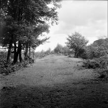 Duffryn Llynvi & Porthcawl Railway. Between Tondu and Llangwynyd Lower. Looking southeast. September 1955 (13)