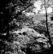 Duffryn Llynvi & Porthcawl Railway.  Near Nant Gwyn between Coytrahen and Pont Rhyd-y-Cyff.  September 1955 (17)