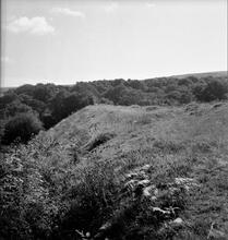 Duffryn Llynvi & Porthcawl Railway.  Embankment over Cwm Gadlys between Coytrahen and Pont Rhyd-y-Cyff.  September 1955 (18)