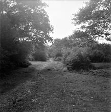 Duffryn Llynvi & Porthcawl Railway.  Pont Rhyd-y-Cyff. Looking southwest.  September 1955 (19)
