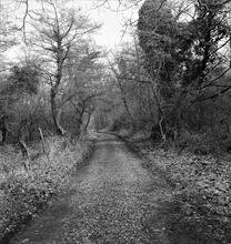 Tondu Brickworks Tramroad. North of Shwt Bridge. View north at SS 892872. April 1963  (7)