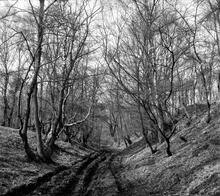 Tondu Brickworks Tramroad. Shwt. View towards Glan Nant Colliery at SS 893873, facing north. April 1963  (8)