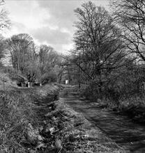 Tondu Brickworks Tramroad. Coytrahen. Facing north-north-east from the Nicholl’s Arms PH at SS 852897. April 1963  (5)