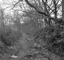 Tondu Brickworks Tramroad. Coytrahen. View from the north end of the tunnel mouth under Cildaudy Road, at SS 890854. April 1963  (4)