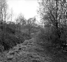 Tondu Brickworks Tramroad. North of Tondu looking south towards the site of Tondu Ironworks. April 1963  (1)