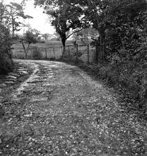 Penydarren Tramroad (Castle Morlais Line).  Pen-y-Bryn.  View looking north of the sharp curve near the Water Works.  24th October 1949  (6)