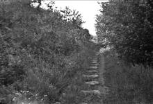 Severn & Wye Railway, Churchway Branch, Forest of Dean.  Stone sleeper blocks north of Serridge Green.  09 June 1938 (3)