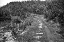 Severn & Wye Railway, Churchway Branch, Forest of Dean.  Stone sleeper blocks are prominent as the line curves slightly northwards, near the old Nelson Pit.  12 June 1938 (5)