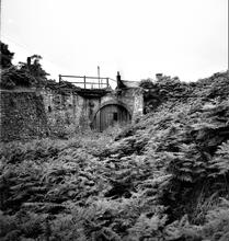 Severn & Wye Railway, Oakwood Branch, Forest of Dean, Gloucestershire. Flour Mill Colliery. North End of No. 2 Tunnel. 30 July 1938 (8)