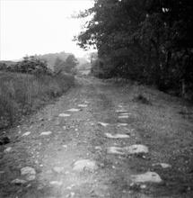 Severn & Wye Railway, Oakwood Branch, Forest of Dean, Gloucestershire. Oakwood Bottom. Stone sleeper blocks in situ near Oakwood Foundry. 30 July 1938 (12)