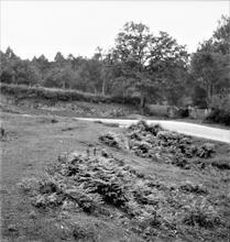 Severn & Wye Railway, Oakwood Branch, Forest of Dean, Gloucestershire. Curve near Mill Hill Bottom. 30 July 1938 (11)