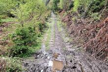 Severn & Wye Railway. Bixslade (Bicslade) Branch. Stone block sleepers in situ. 27 April 2024