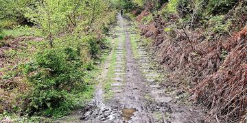 Severn & Wye Railway (pre-conversion)