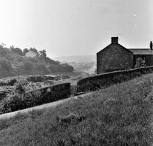 Cwm Gelli, nr Landore, Swansea. A view of Cnap Llwyd facing north, at SS 658 965. 1965 (1)
