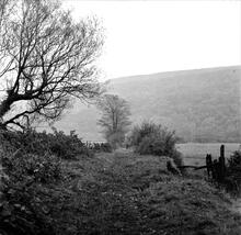 Ynysygeinon Tramroad (3) Pant-Y-Ffynon.  View from Cwm Tawe cottage next to the Swansea Canal, looking east at SN 757071 October 1962