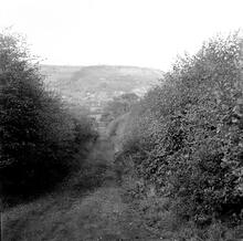 Ynysymwnd Tramroad (1) Near Glais. View from Glais Road  looking north-west at SN 712022. October 1962