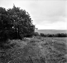Ynystawe Tramroad (1). Ynystawe. View from SN 685006 facing east towards Garth Pit. October 1962