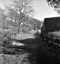 Hen Neuadd Tramroad (4). The remains of the incline at Pant-Y-Cwrt facing north at SN 817129. April 1963