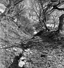Hen Neuadd Tramroad (3). The remains of the incline at Pant-Y-Cwrt looking north at SN 820131. April 1963