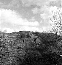 Hen Neuadd (5). The upper incline at Pant-Y-Cwrt facing north at SN 822134. October 1962