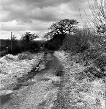 Cwm Nant Llwyd Branch (1). Craig Gelli Nedd. View of trackbed looking north at SN 737041. April 1963