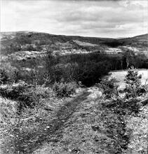 Cwm Nant Llwyd Branch (2). Craig Gelli Nedd. View looking north at  Grid ref. SN 737044. April 1963
