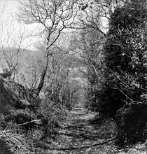 Cwm Nant Llwyd  Branch (3). Craig Gelli Nedd. View looking down the incline at SN 737046. April 1963