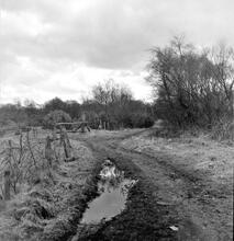 Cwm Nant Llwyd  Branch (5). Near Cwm Nant Llwyd colliery facing south west at SN 737039. October 1962
