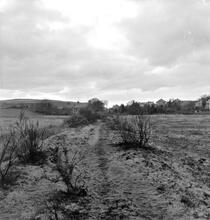 Cwm Nant Llwyd  Branch (6). Near Cwm Nant Llwyd colliery looking south west at SN 737039, towards Bryn Brych. October 1962