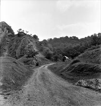 Dr Bevan’s Tramroad at Dinas Rock limestone quarry. 1965. Photo taken from NGR SN 9108 0793 looking east (1)