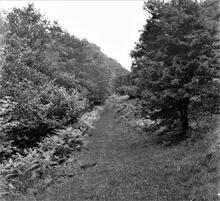 Dr Bevan’s Tramroad. View looking east between Dinas Rock and Pontwalby. 1965 (3)