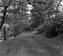 Pontneddfechan silica tramroad. View facing south. 1965 (2)