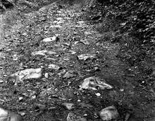 Pontneddfechan silica tramroad. Row of sleeper blocks adjacent to old mill. NGR SN 9000 0810.1965 (5)