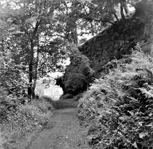 Pontneddfechan silica tramroad. View facing south, approaching the Angel Inn. Photo taken from NGR SN 9007 0770.  1965.