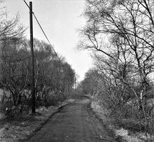 Mines Royal Copper Works. Skewen Dram Road. View looking north. April 1963.  Photo taken from NGR SS 7303 9839 approx.
