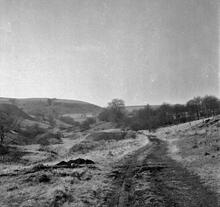 Glyncorrwg Mineral Railway (Parsons’ Folly).  Track of the railway in Cwmgwenffrwd leading to the incline up Cefn Morfydd.  April 1963.  Photo taken from approx NGR SS 800968 (1)