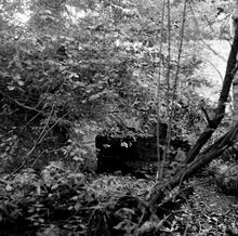 Hay Railway, West of  the B4560 road close to Glan-cath  Culvert. September 1961 (9)